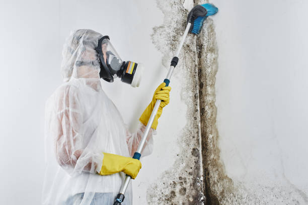 Best Water damage restoration process  in Walters, OK